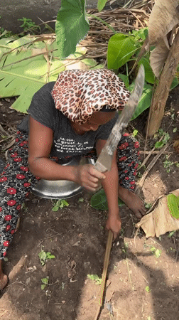 Nigerians conduct routine food prep and yard work