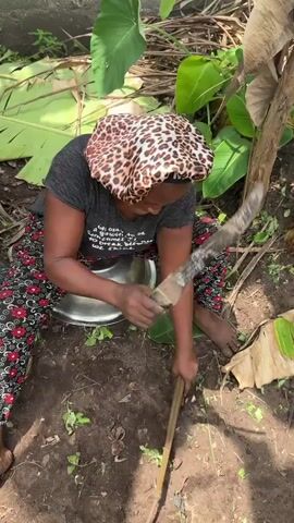 A woman is seated barefoot on the ground near some plants. She's wearing a leopard print bonnet, a dark gray shirt, and red and black patterned pants. Next to her is a metal bowl. She is using a long, curved knife to chop a thick stick on the ground. The ground is dirt and scattered with leaves. The plants around her include broad green leaves resembling taro or elephant ear plants and a piece of banana tree bark. The background includes a hint of a concrete wall.