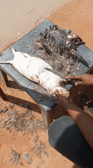 Nigerian street vendors prepare meat, popcorn in Obosi, Onitsha