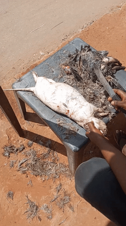 Nigerian street vendors prepare meat, popcorn in Obosi, Onitsha