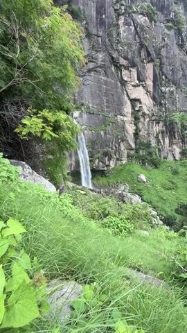 The video captures a majestic waterfall cascading down a sheer, rocky cliff face. Lush green vegetation, including tall grass and leafy plants, surrounds the base of the falls and clings to the sides of the cliff. The water is a bright white as it plunges, creating a misty spray that obscures the lower part of the cliff. In the foreground, thick, tall green grass sways gently. A person is visible near the bottom of the waterfall, appearing small against the immense scale of the natural landscape. The rocky cliff is textured with layers and crevices, with patches of green moss or grass growing in places.