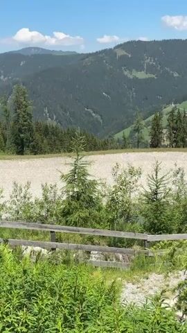 The video captures a panoramic view of a lush green mountainous landscape on a clear day. In the foreground, there is a wooden fence and dense green vegetation. Beyond the fence, a gravelly area with scattered evergreen trees is visible, leading to a gentle slope. The mid-ground features rolling hills covered in dense pine forests, interspersed with patches of cultivated green fields. Several farmhouses or buildings are scattered across these fields. The background is dominated by towering, forest-covered mountains under a bright blue sky with scattered white clouds. The camera pans slowly to the right, offering a continuous view of this scenic mountain vista. There are no people or animals visible in the frame, and the focus is entirely on the natural environment.