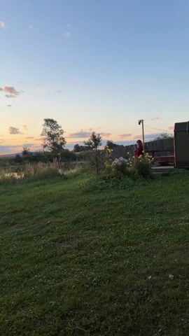 A vertical video pans across a grassy yard towards a sunset. The sun is low on the horizon, casting a warm glow across the sky, which is filled with colorful clouds. In the foreground, there is a patch of green grass. To the left, there is a small body of water with reeds growing around it. To the right, there is a wooden gazebo with a ring hanging inside. A person in a red shirt can be seen standing near the gazebo, facing away from the camera. The video ends with a close-up of the sunset over the water, with reeds in the foreground.