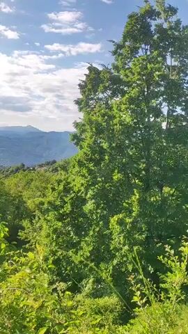 The video shows a sun-drenched landscape with rolling green hills and mountains in the distance. The sky is a vibrant blue with scattered white clouds. Lush green trees and vegetation fill the foreground and midground. The sun is shining brightly, casting rays of light across the scene. The camera pans slowly across the landscape, offering a panoramic view of the natural beauty. There are no people or man-made objects visible in the video.
