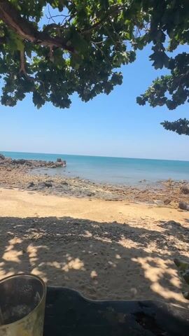 The video displays a beach scene under a clear, blue sky. The camera is positioned under the shade of a leafy tree, offering a partial view of the ocean. The beach is mostly sandy, with rocky areas closer to the water's edge. The sea is calm and stretches out to the horizon. A glass is visible in the lower left corner of the frame, partially obscured. The lighting indicates it's likely daytime with bright sunshine.