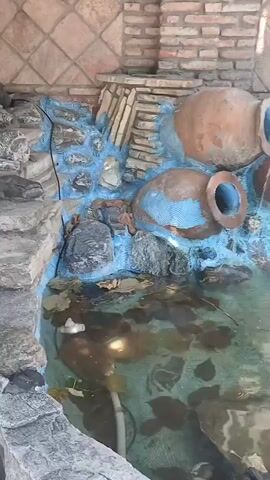 A decorative pond fountain features several large, earthenware amphorae and jugs arranged on a stone wall. Water streams from the openings of these vessels, cascading into the pond below. The pond contains several dark-colored fish swimming near the surface. Rocks and aquatic plants are visible within the pond. The background consists of a brick wall and decorative tiling. The lighting suggests daytime.
