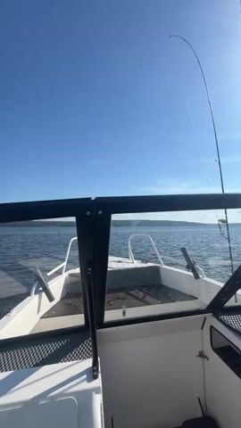 The video shows a point-of-view perspective from a boat moving across a body of water. The boat appears to be a small, white fishing boat with a black windshield frame. Fishing rods are visible, suggesting the activity of fishing. The scene is set on a large lake or river, with a tree-lined shoreline visible in the distance. The sky is clear and blue with a few white clouds, indicating fair weather. The sun is high, suggesting it is daytime, likely late morning or early afternoon. The water is calm with small ripples, and the boat is leaving a small wake, indicating moderate speed. The overall mood is peaceful and serene, typical of a day spent on the water. No people are clearly visible within the frame, though they are implied as being on the boat. No text is visible in the media.