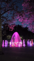 Mykolaiv park fountain lights up at dusk