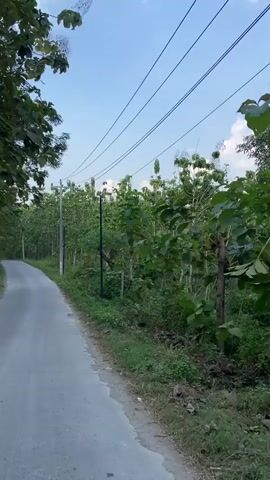 A drone shot moves along a paved road lined with trees and vegetation under a partly cloudy sky. Electrical wires run overhead, supported by utility poles. The road curves to the left and leads into a dense, green forest.