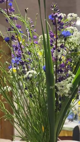 A close-up, slightly shaky video shows a bouquet of wildflowers. The bouquet consists of purple lupine, blue cornflowers, small white flowers that appear to be Queen Anne's Lace, yellow buttercups, and various green grasses and stalks. The background is blurred but appears to be an indoor setting with a light-colored wall and hints of wooden furniture. The lighting is somewhat dim, suggesting it may be evening or an overcast day. The camera angle is static, focusing on the flowers. No people are visible in the video.