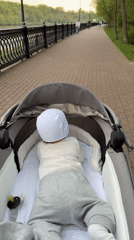 Baby stroller walk and boat sighting in Khimki