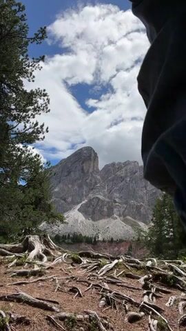 A person and their dog walk away from the camera towards a large mountain. The person is wearing a dark jacket and dark pants, and the dog is a light brown poodle mix. The ground in the foreground is covered with exposed tree roots. The sky is blue with white clouds.