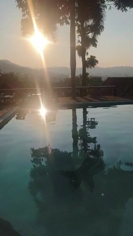 The video starts with a view of a swimming pool, with the sun shining over the mountains in the background. Several trees surround the pool, and their reflections are visible in the water. As the video continues, the camera moves down to focus on the pool's surface, showcasing the reflection of the palm trees. Finally, a person's foot appears at the edge of the pool, as if testing the water. The water is a clear blue-green color.