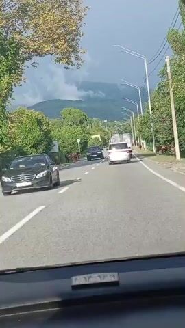 The video shows a view from inside a car driving on a paved road. Several cows are present on the side of the road and on the road itself, causing traffic to slow down. In the background, there are trees, mountains, and a cloudy sky. Two vehicles are visible on the road ahead of the car.