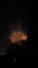 Fireworks Display Lights Up Night Sky Over Residential Area