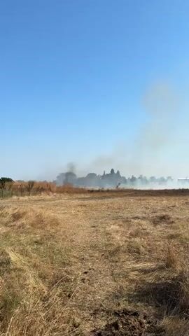 The video shows a dry, grassy field under a clear blue sky. In the distance, there is a plume of smoke rising, indicating a fire. The smoke is dense and dark, suggesting an active blaze. The vegetation in the foreground is dry and brown, which could be a contributing factor to the fire spreading. The overall scene depicts a rural or semi-rural environment.