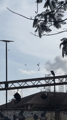 Helicopters fly in formation over Lagos amphitheater venue