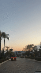 Car drives palm-lined road at twilight in Puebla