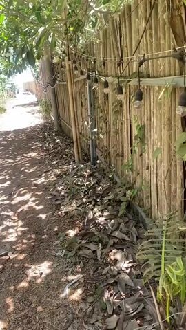 The video shows a first-person perspective walk along a narrow, unpaved dirt path. The path is partially shaded by green foliage and trees overhead, creating dappled sunlight and shadows on the ground. To the right of the path, there is a tall, rustic fence made of vertical bamboo poles. String lights with exposed bulbs are strung along the top of this bamboo fence. The ground beside the fence is covered with dry, fallen leaves. To the left, there are more green bushes and trees. The path gradually descends and opens up to reveal a glimpse of a bright blue body of water, likely the sea or ocean, in the distance, indicating a coastal setting. The scene is bright and sunny, suggesting daytime. No people or visible text are present.