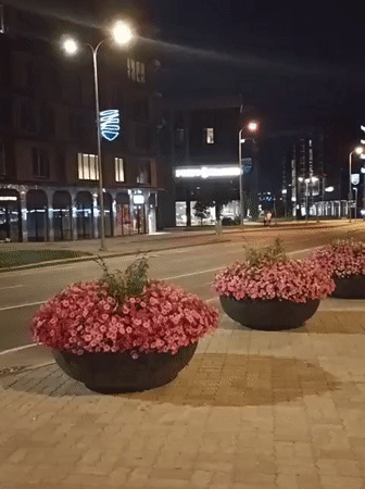 Tallinn, Estonia