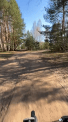 Cyclists enjoy forest ride in Chaikovsky, Russia