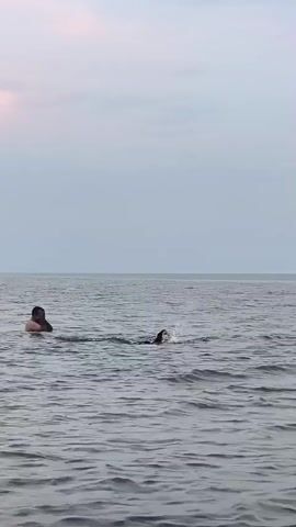 Three people are in the water. One person is standing in the water to the left, holding a black object above their head. Another person is swimming in the water to the left of center, with their head above water. A third person is swimming further to the right, with only their head visible above the water. The sky is overcast.