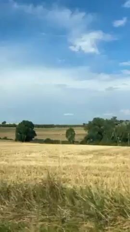 Here is a concise description of the video:

The video shows a picturesque rural landscape on a bright, sunny day with a blue sky dotted with scattered white clouds. A large, golden-brown field dominates the scene, seemingly recently harvested with short stubble. Scattered trees punctuate the field, offering slight visual interest. Tall, green grasses grow in the foreground. The camera appears to be in motion, possibly from a moving vehicle or train.