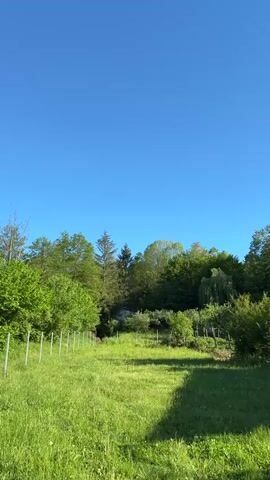 The video presents a scene of a grassy meadow transitioning to a wooded area under a clear blue sky. A fence line runs along the edge of the meadow, separating it from a slightly elevated area where trees and foliage thicken. To the right, a white building is partially visible behind the trees. In the foreground, a structure covered by dark rectangular panels (possibly solar panels or some type of shade structure) and a trampoline are seen.