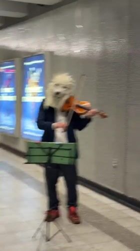 Violin in a dog mask, construction outside Gothic Montreal building