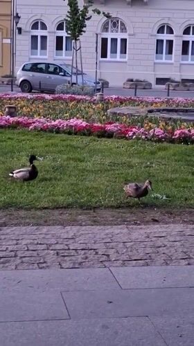 Daily life moments documented across Novi Sad, Serbia