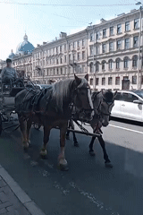 Ornate horse-drawn carriage rolling through Saint Petersburg streets