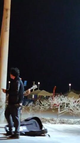 A blurry outdoor night scene focuses on a person playing an acoustic guitar, with an open guitar case on the ground. The person is wearing a black shirt, dark jeans, a hat, and sunglasses. To the right of the guitarist are other people who appear to be part of the band, and in the background are trees, lights, and tents. The foreground includes a palm tree trunk on the left, partially obscuring the view.