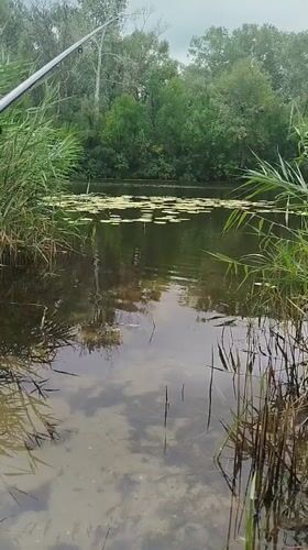 A quiet morning fishing the river at Potoky, Ukraine