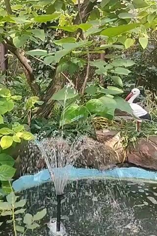 The video shows a small fountain in a pond with green foliage in the background. A decorative stork stands on a rock next to the pond. The fountain sprays water upwards, creating a splashing effect. The scene is lush and appears to be an outdoor setting, possibly a garden or park.