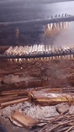Traditional fish smoking process documented at unknown location