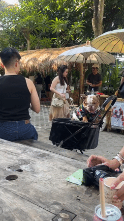 Casual morning scene at an outdoor marketplace in North Kuta