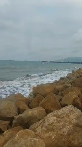 The video shows a rocky shoreline with waves crashing against the rocks. The water is a murky green and the sky is overcast. In the distance, there appears to be a city or industrial area with tall structures. The camera is positioned at a low angle, looking out at the sea.