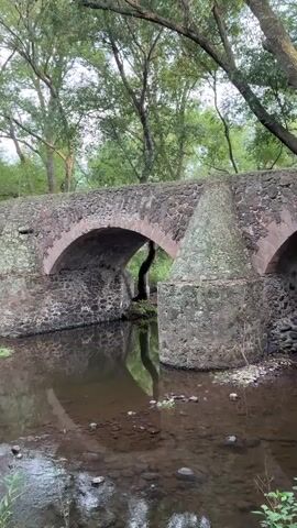 The scene is a view of an old stone bridge with two arches spanning a shallow, slow-moving stream. The bridge is made of dark grey stone and is partially covered in moss or lichen. The water reflects the arches of the bridge and the surrounding trees. The stream bed is visible through the clear water, revealing rocks and pebbles. Lush green trees surround the bridge, with their branches reaching over the structure. The lighting suggests it is daytime, possibly early morning or late afternoon, casting a soft light on the scene. No people are visible in the shot.