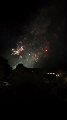 Fireworks display lights up night sky with colorful bursts