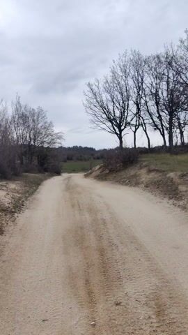 A dirt road stretches forward under a cloudy sky.  The road curves slightly to the left and is lined with bare trees and sparse vegetation. In the distance, a green field is visible, bordered by a treeline. The road surface shows tire tracks.
