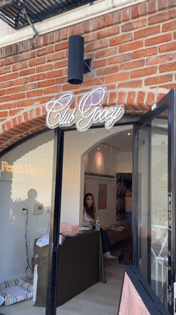 Evening scenes captured at San Diego club and dog gathering