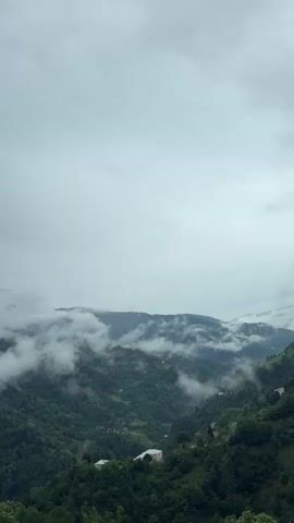 This is a vertical, medium-shot, outdoor video of a mountainous landscape on a cloudy day. The scene is dominated by lush green slopes covered in dense trees, with patches of fog rolling in and obscuring the distant peaks. Several small buildings, likely homes, are visible nestled within the hillsides. The sky is overcast and gray, suggesting a potentially rainy or misty day. The overall mood is serene and atmospheric, with a sense of natural beauty and seclusion. There is no visible text in the video. The time of day appears to be daytime, given the ambient light, but the cloud cover creates a diffused, soft illumination. The location is identified as Silibauri, Georgia, which is known for its mountainous terrain and natural beauty.