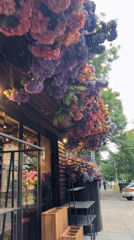 Morning scenes captured across Sofia: flowers, selfies, luxury car