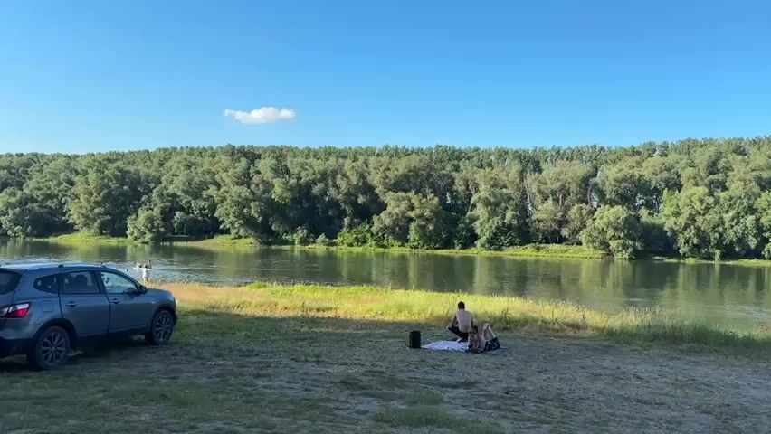 The video captures a sun-drenched riverbank scene under a clear blue sky with a few wispy clouds. A calm river flows gently, bordered by a dense line of lush green trees on the opposite bank. On the near bank, a sandy and grassy area serves as a gathering spot. In the foreground, a gray SUV is parked on the left. Further along the bank, several people are visible enjoying the water and the day. Some individuals are in the river, swimming or wading, while others are seated on the bank. A group is gathered on a blanket, appearing to be having a picnic or relaxing. To the right, two vans and a white car are parked. The overall atmosphere suggests a peaceful and leisurely day spent outdoors by the water.