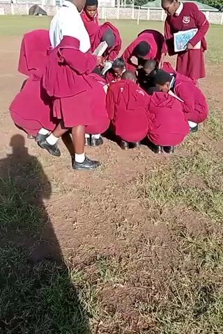 A group of approximately ten young people, mostly wearing maroon school uniforms, are gathered in a circle on a grassy field. They are crouched down, appearing to observe or examine something on the ground in the center of the circle. Some of them are holding notebooks or papers. A few trees and a building can be seen in the background. The video is taken from a slightly elevated position, showing the top of the circle. The shadow of the videographer is visible in the lower left corner of the frame.