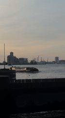 Amsterdam ferries cross IJ river during evening commute