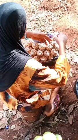 A woman wearing a black hijab and a yellow and brown patterned dress is squatting outdoors. She is arranging small, round packages on a tray. Several green fruits are visible on the ground near her. The ground is mostly bare soil covered with dry leaves and small twigs. There is a black plastic bag beside her.