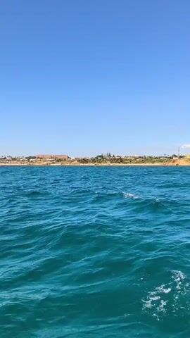 This media file captures a serene view of the ocean with a clear blue sky overhead. The water is a vibrant turquoise, with gentle waves creating a textured surface. In the distance, a coastline is visible, dotted with buildings that suggest a populated area, possibly a town or city. The horizon line is sharp, separating the sea from the sky. The sun is high in the sky, indicating it is likely midday, and the bright, cloudless expanse suggests fair weather. There are no people or distinct objects in the foreground, focusing the attention on the natural beauty of the seascape. The overall impression is one of tranquility and open space. Based on the location context provided, this scene likely depicts the coast near Albufeira, Portugal.