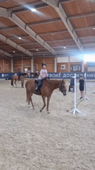 Riders train horses during afternoon lessons at indoor equestrian facility