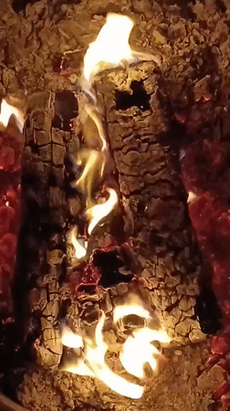 Evening moments with cat, fires, moon captured in Viadana